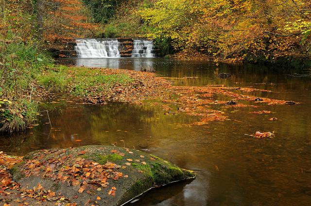DSC_2184.jpg - Waterfall On Cod Beck, Outside Osmotherley-Autumn