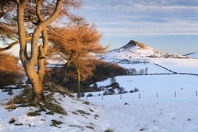 DSC_5534.jpg - Roseberry Topping From Cliff Ridge, Winter, Landscape