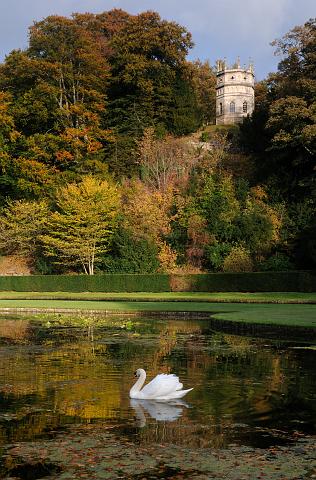 DSC_9936.jpg - Octagon Tower And Swan, Studley Royal, Autumn
